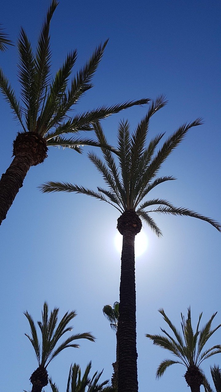 Cómo posicionar Google Maps en Alicante