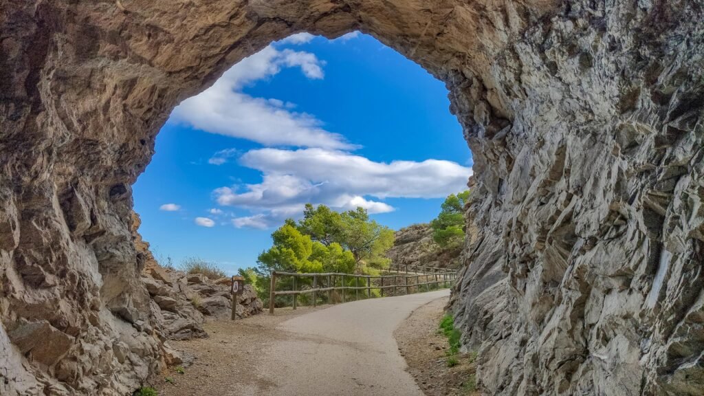 redes sociales en el albir
