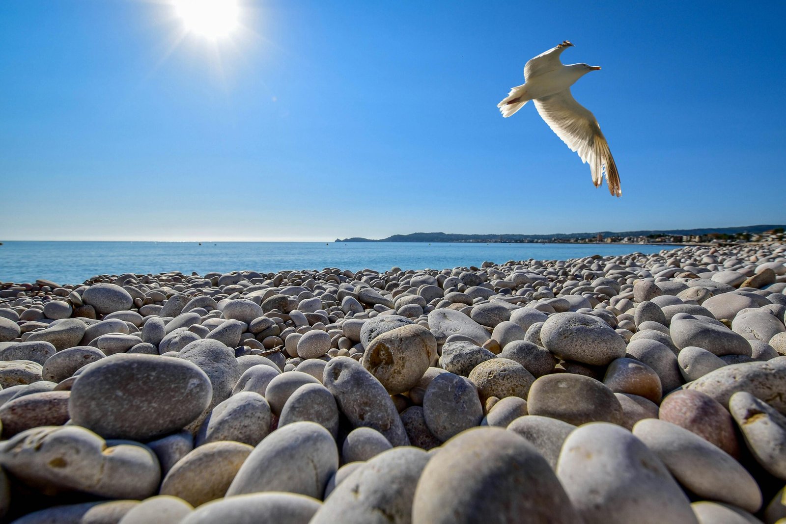 Mejor agencia SEO para negocios locales en la Costa Blanca
